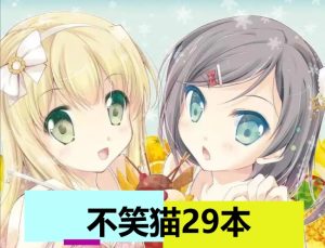 不笑猫（29本）-奈次元丶
