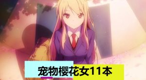 樱花宠物女（11本）-奈次元丶