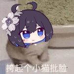 yueluox47的头像-奈次元丶