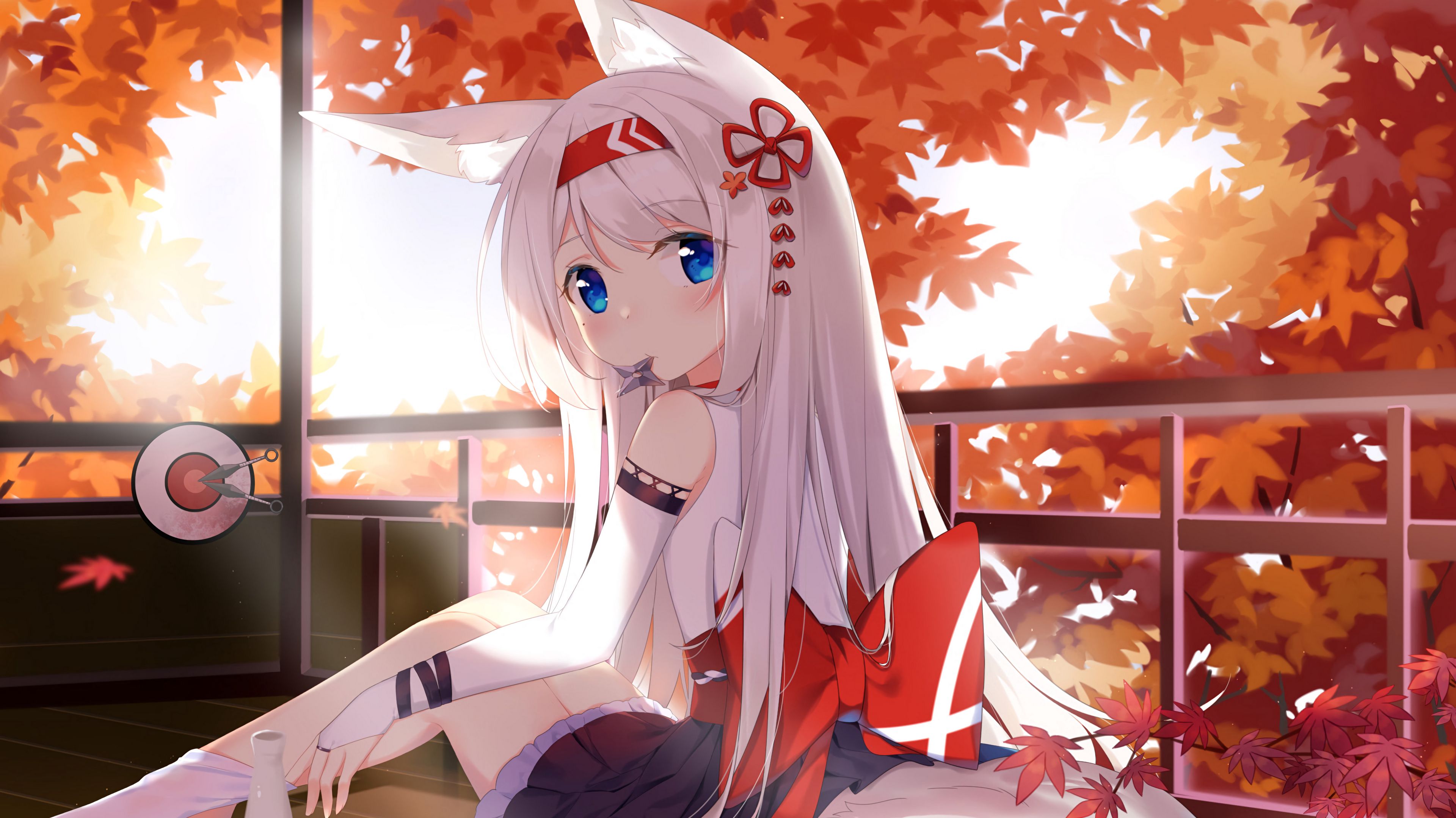 幻灯片-奈次元丶