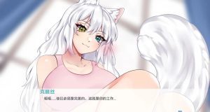 【SLG/汉化/沙盒】涅槃米糠0.1.13汉化版【PC+安卓】-奈次元丶